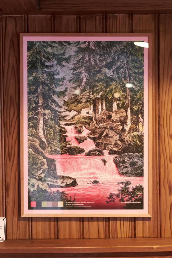 فندق Pop-Up Stuub Feldberg فيلدبرج المظهر الخارجي الصورة