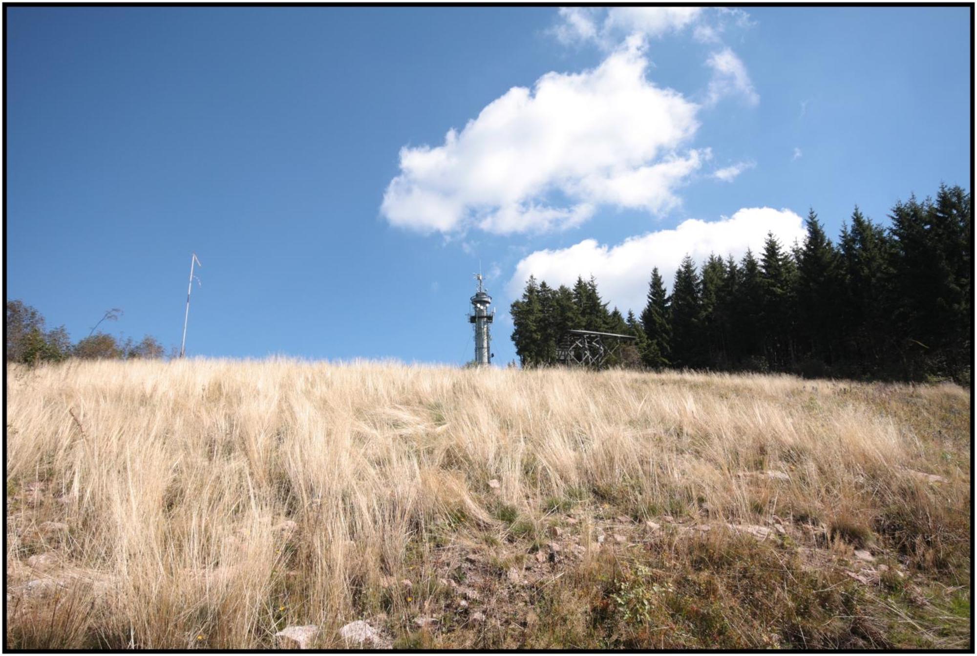 فندق Pop-Up Stuub Feldberg فيلدبرج المظهر الخارجي الصورة